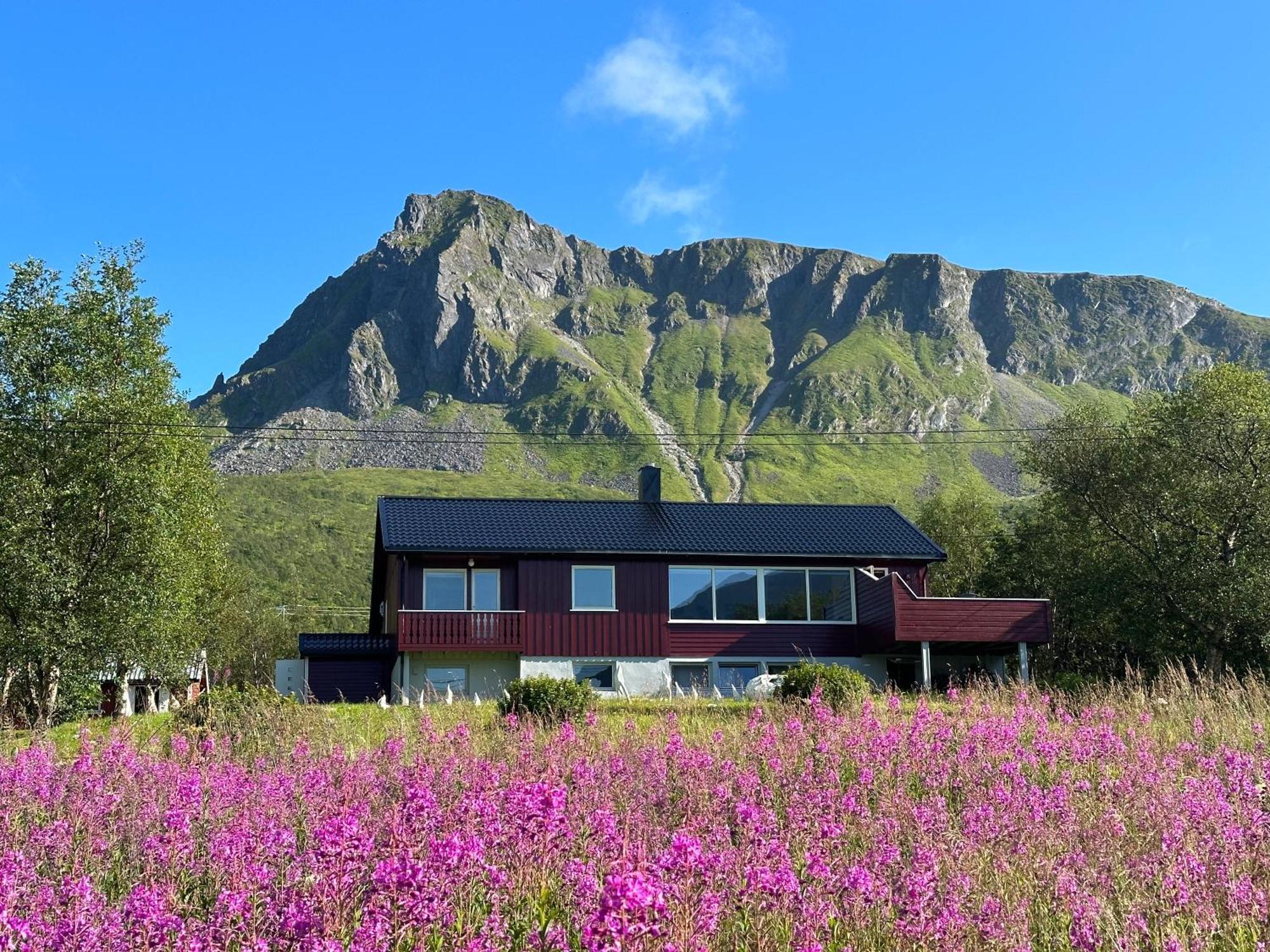 Lofoten Red Villa Laupstad Exterior photo